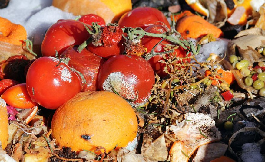 CLIMATE CHANGE ACTION: REDUCING FOOD WASTE AN UNDERRATED CAUSE OF GLOBAL WARMING