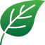 Environmental Governance