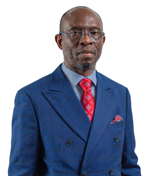 Prof. Olanrewaju Fagbohun, SAN
